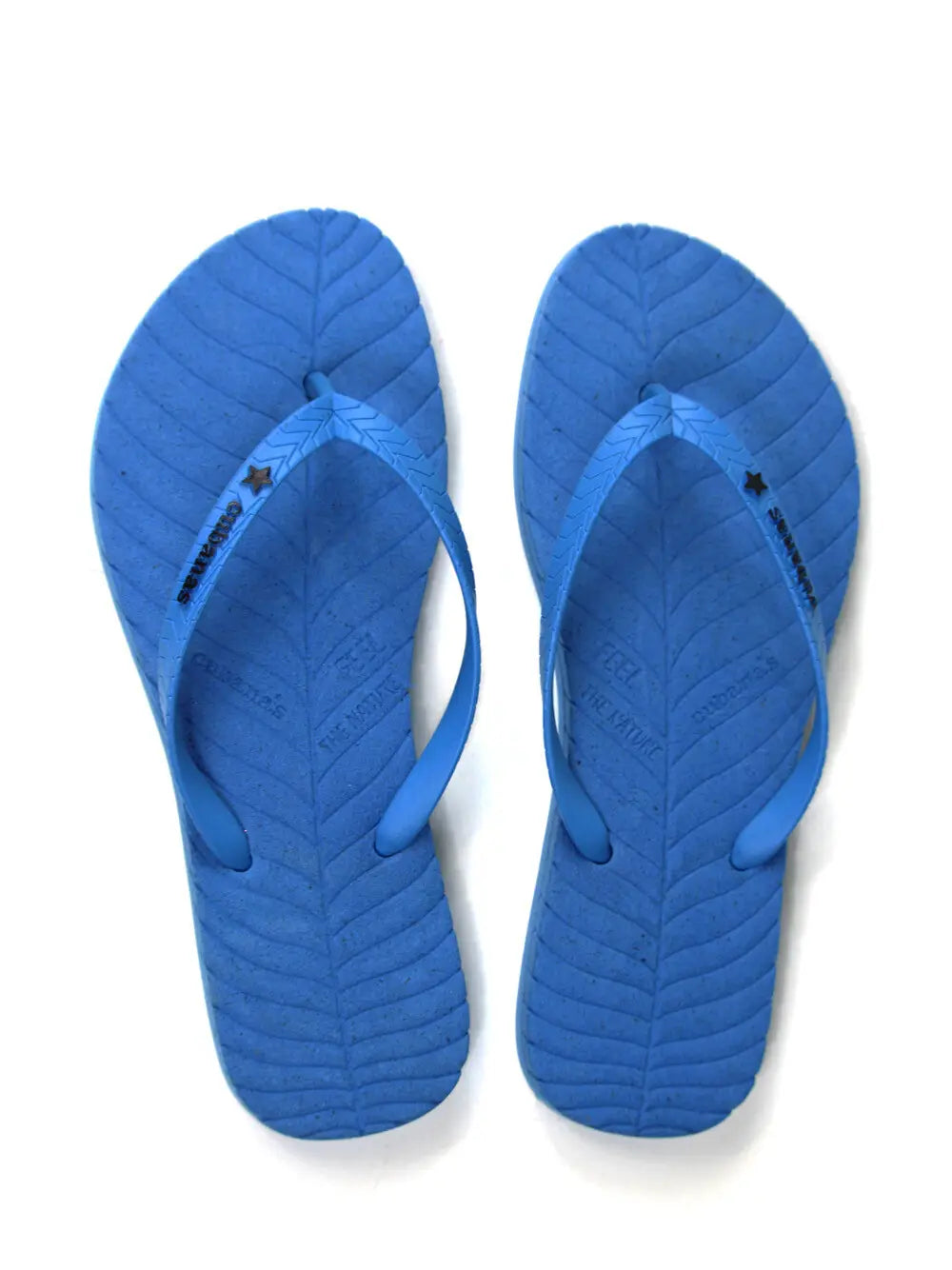 Chinelo Azul