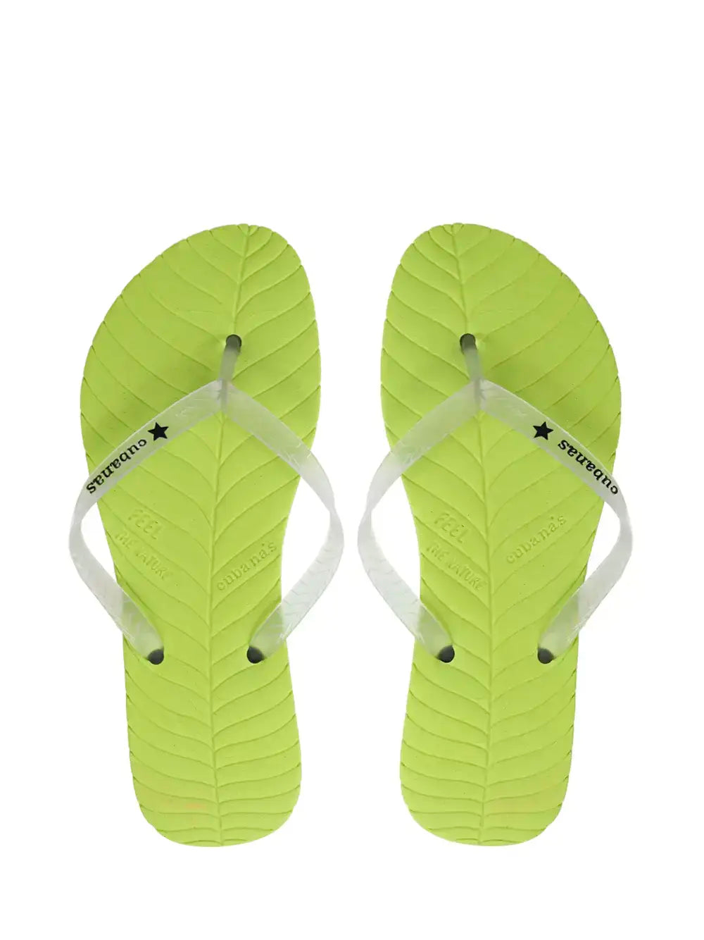 Chinelo Verde com Tira Transparente